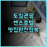 센스 호텔 후기 타이핑 도심 관광과 맛집 탐방을 위한 최고의 숙소 추천
