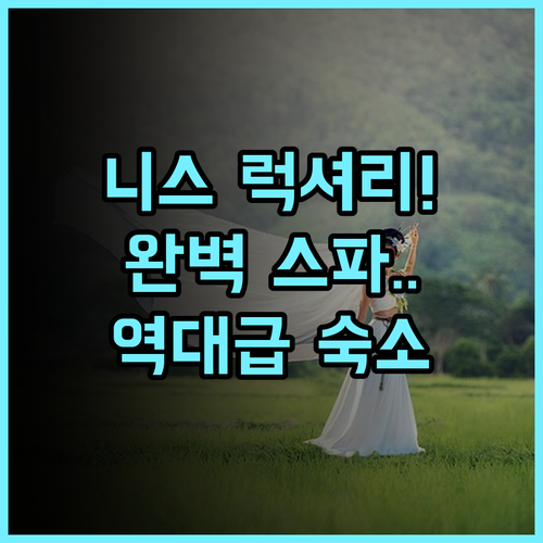 웨스트민스터 호텔 & 스파 나이스 후기 전통 있는 럭셔리 시설과 스파가 완벽한 니스 숙소 추천