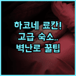 세츠게츠카 하코네 현대적 료칸 후기 정원 전망과 벽난로가 있는 고급 숙소