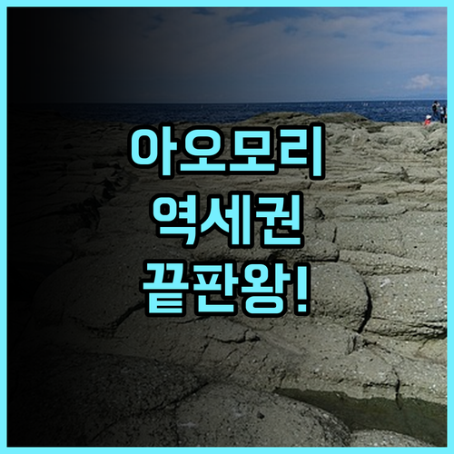 호텔 마이스테이스 아오모리 스테이션 역세권이라 이동이 편리한 숙소 추천 후기