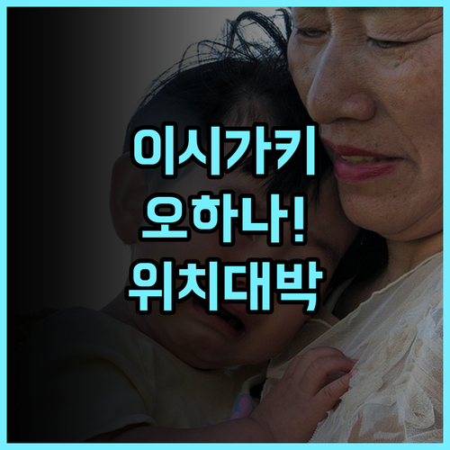 이시가키 게스트하우스 오하나 추천 페리 터미널 인근 위치와 접근성이 훌륭한 최고의 숙소 후기