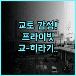교토 교-히라기 추천 후기! 조용한 주택가 감성을 그대로 느낄 수 있는 프라이빗 독채