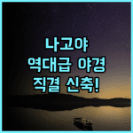 더 로얄 파크 호텔 아이코닉 나고야 후기 야경이 아름다운 사카에역 직결 신축 호텔 추천