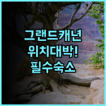 그랜드 캐년 인 후기! 미국 서부 여행자를 위한 최적의 위치를 가진 호텔 추천