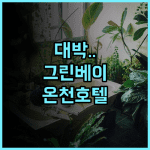 CT 그린 베이 온천 호텔 후기 대가족 여행에 최적화된 넓은 객실과 온천 시설 추천