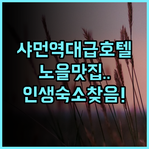 샤먼 산쉰 위시 바다 전망 호텔 추천 예술적인 인테리어와 노을이 아름다운 감성 숙소 후기