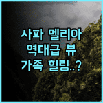 Sapa Mountain Resort Affiliated by Melia 후기 가족 여행객을 위한 자연 속 힐링 리조트 추천