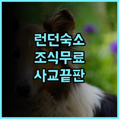 세인트 제임스 백패커스 조식 제공과 사교 활동이 즐거운 런던 호스텔 추천