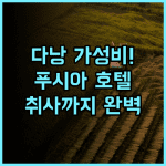 푸시아 호텔 & 아파트먼트 후기 청결함과 취사 시설을 모두 갖춘 다낭 가성비 숙소 추천
