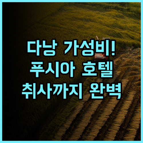 푸시아 호텔 & 아파트먼트 후기 청결함과 취사 시설을 모두 갖춘 다낭 가성비 숙소 추천