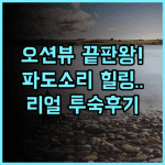 오션 스프레이 아파트먼트 추천 오션뷰 전망과 파도 소리가 매력적인 휴양지 완벽 후기