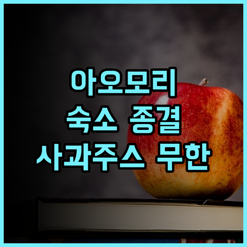 리치몬드 호텔 아오모리 후기 넓은 객실과 무료 사과주스 서비스가 돋보이는 가족 숙소 추천