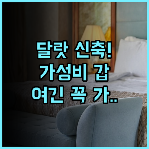 브릭 하우스 다랏 호텔 후기 달랏 시내 접근성 좋은 신축 숙소 추천
