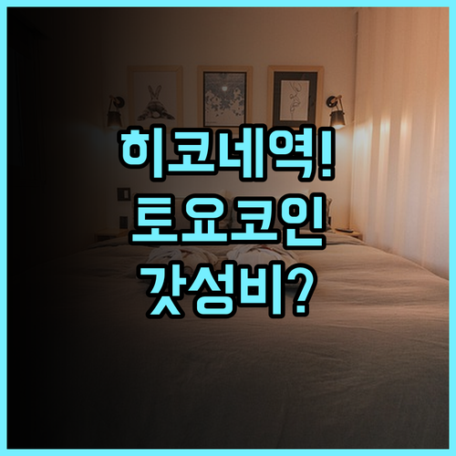 토요코 인 히코네 에키 히가시구치 후기 정숙한 투숙 환경과 뛰어난 접근성 숙소 추천