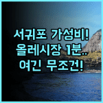 호텔더그랑 서귀포 추천 후기 올레시장 맛집 탐방에 최적화된 위치 최고의 선택