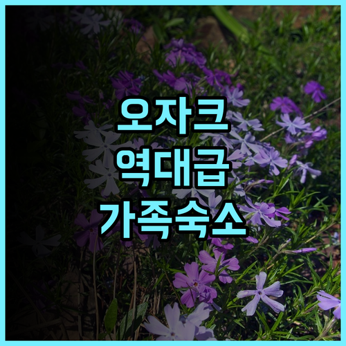 시더 네스트 익스피리언스 오자크 매직 후기 가족 여행객을 위한 미주리 숙소 추천
