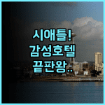 시티즌M 시애틀 사우스 레이크 유니언 현대적인 시스템을 갖춘 시애틀 감성 호텔 추천