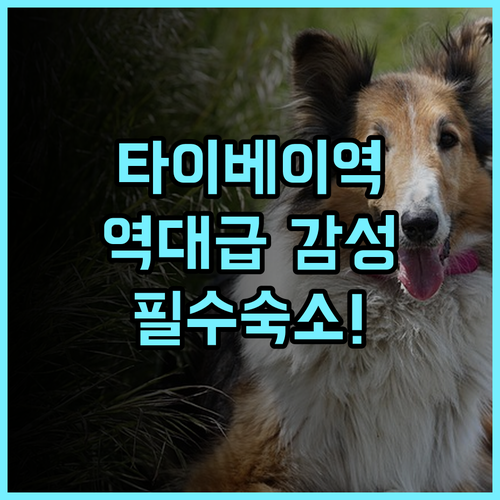 미앤더 1948 호스텔 후기! 타이베이 메인역 인근 역사적인 감성 숙소 추천