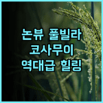 Farmers Villa 후기 논 뷰와 프라이빗 풀을 갖춘 코사무이 조용한 휴양지 숙소 추천