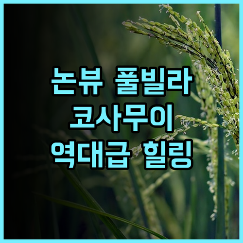 Farmers Villa 후기 논 뷰와 프라이빗 풀을 갖춘 코사무이 조용한 휴양지 숙소 추천