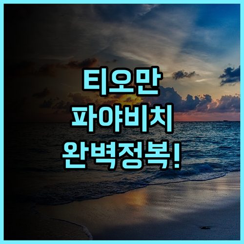 파야 비치 스파 다이브 리조트 후기 접근성 좋은 티오만 섬 액티비티 숙소 추천