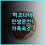 호텔 글로벌 뷰 하코다테 추천 온천 대욕장과 가족 여행에 최적화된 하코다테 숙소 후기