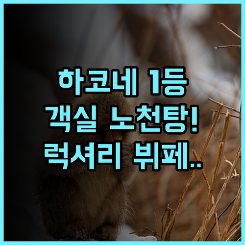 하코네 고와키엔 덴유 후기 객실 노천탕과 럭셔리 뷔페가 완벽한 하코네 숙소 추천