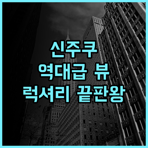 벨루스타 도쿄 팬 퍼시픽 호텔 후기 신주쿠 고층부 파노라마 뷰가 완벽한 럭셔리 숙소 추천