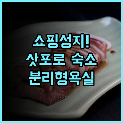 호텔 비스타 삿포로 오도리 후기 타누키코지 상점가와 연결된 쇼핑 최적화 분리형 욕실 숙소 추천