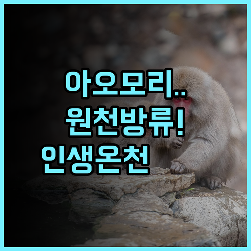후지야 호텔 오와니 후기 아오모리 원천 방류식 노천탕이 있는 최고의 온천 호텔 추천
