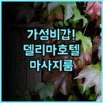 델리마 호텔 후기! 마사지 룸과 카페를 갖춘 반자르마신 가성비 숙소 추천