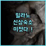 Loquat Tree B&B 추천 2025년 신규 오픈으로 쾌적한 밀라노 깨끗한 숙소 후기