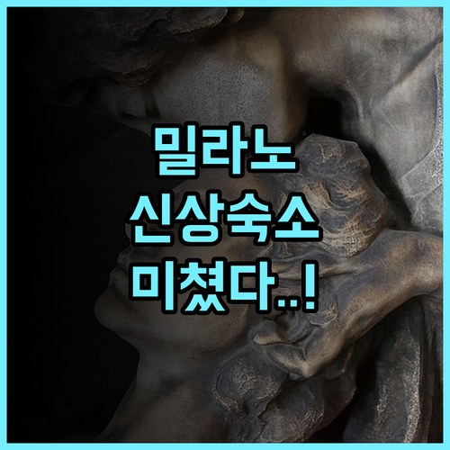 Loquat Tree B&B 추천 2025년 신규 오픈으로 쾌적한 밀라노 깨끗한 숙소 후기