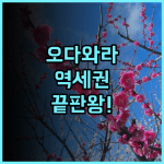 오다와라 터미널 호텔 추천 역세권 접근성이 완벽한 일본 여행 숙소 후기