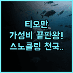 둠바 베이 티오만 가성비 숙소 추천 접근성과 스노클링이 환상적인 여행지 후기