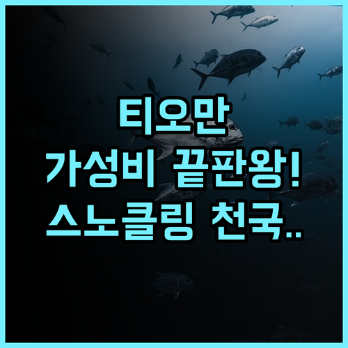 둠바 베이 티오만 가성비 숙소 추천 접근성과 스노클링이 환상적인 여행지 후기