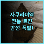 도미야마칸 추천 후기 사쿠라이역 인근 전통 료칸의 정겨운 매력