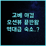 고베 메리켄 파크 오리엔탈 호텔 후기 파노라마 오션뷰와 야경이 아름다운 숙소 추천