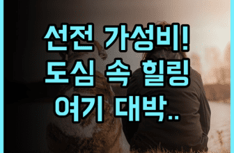 한 이 시티 호텔 선전 도심 속 조용한 휴식과 산책을 즐기기 좋은 가성비 숙소 추천 후기