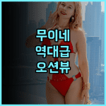 Infinity pool 5mins to the beach 후기 무이네 오션뷰 신축 아파트의 매력