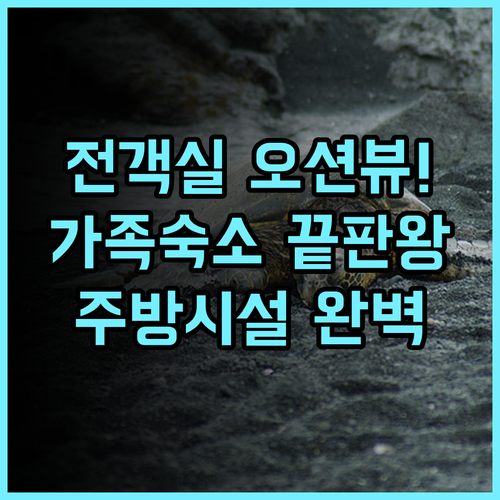 와이키키 비치 타워 후기 전 객실 오션뷰와 주방 시설을 갖춘 하와이 가족 숙소 추천