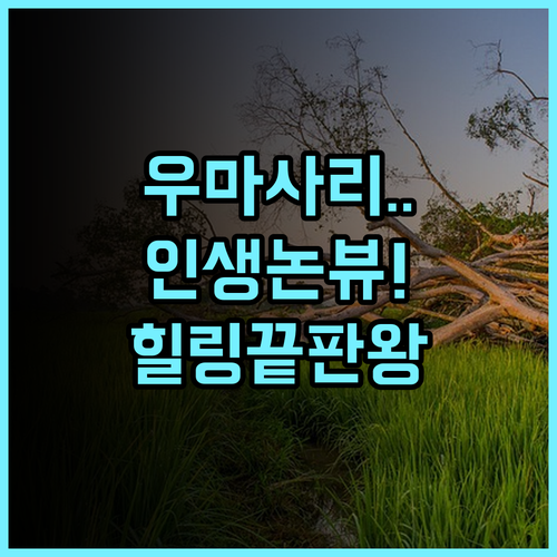 Umasari Rice Terrace Villa by Agata 고요한 논 테라스 전망의 힐링 숙소 추천 후기