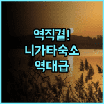 아트 호텔 니가타 스테이션 추천 후기 니가타역 직결 최고의 접근성