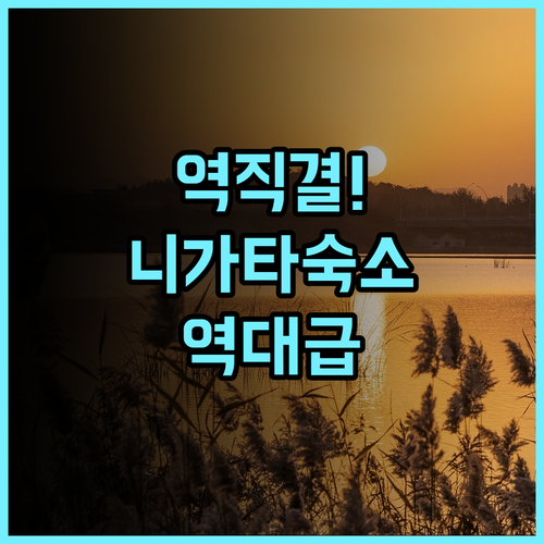 아트 호텔 니가타 스테이션 추천 후기 니가타역 직결 최고의 접근성