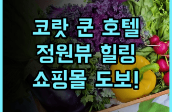 쿤 호텔 후기! 센트럴 코랏 도보 이동이 편리한 조용한 정원 뷰 숙소 추천