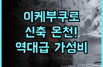 도미 인 이케부쿠로 천연온천 후기 2021년 신축 시설과 대욕장이 쾌적한 가성비 숙소 추천