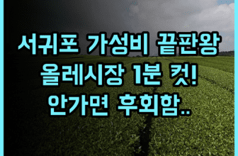 케니스테이 서귀포 후기! 올레시장 접근성이 뛰어난 제주 가성비 호텔 추천