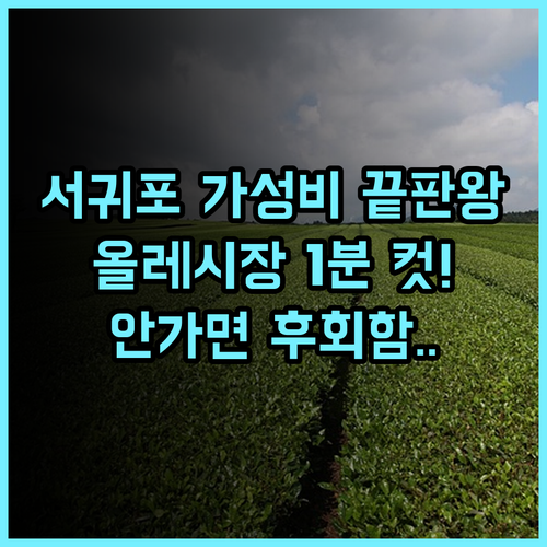 케니스테이 서귀포 후기! 올레시장 접근성이 뛰어난 제주 가성비 호텔 추천