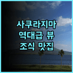 호텔 선플렉스 가고시마 추천 사쿠라지마 뷰와 조식이 매력적인 가고시마 숙소 후기