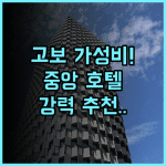 Business Hotel Central 후기 비즈니스와 관광 거점으로 최적화된 고보 가성비 호텔 추천